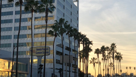 MLI HOLLYWOOD